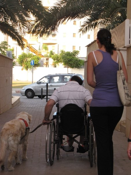 כלב שירות בעבודה
