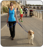 גלית ואלט אילוף כלבים והכשרת כלבי עזר ושירות, כלבי תרפיה