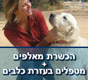 מכללת שילובים