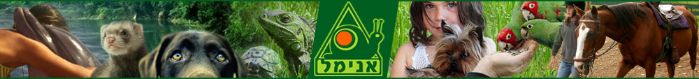 טיפול בעזרת בעלי חיים - פורטל אנימל