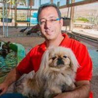 היועצים של פורטל אנימל | טיפול בעזרת בעלי חיים