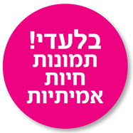 תג: בלעדי - תמונות חיות אמיתיות — בתנועה חיה קלפים טיפוליים למטפלים ולמשפחות | טיפול בעזרת בעלי חיים